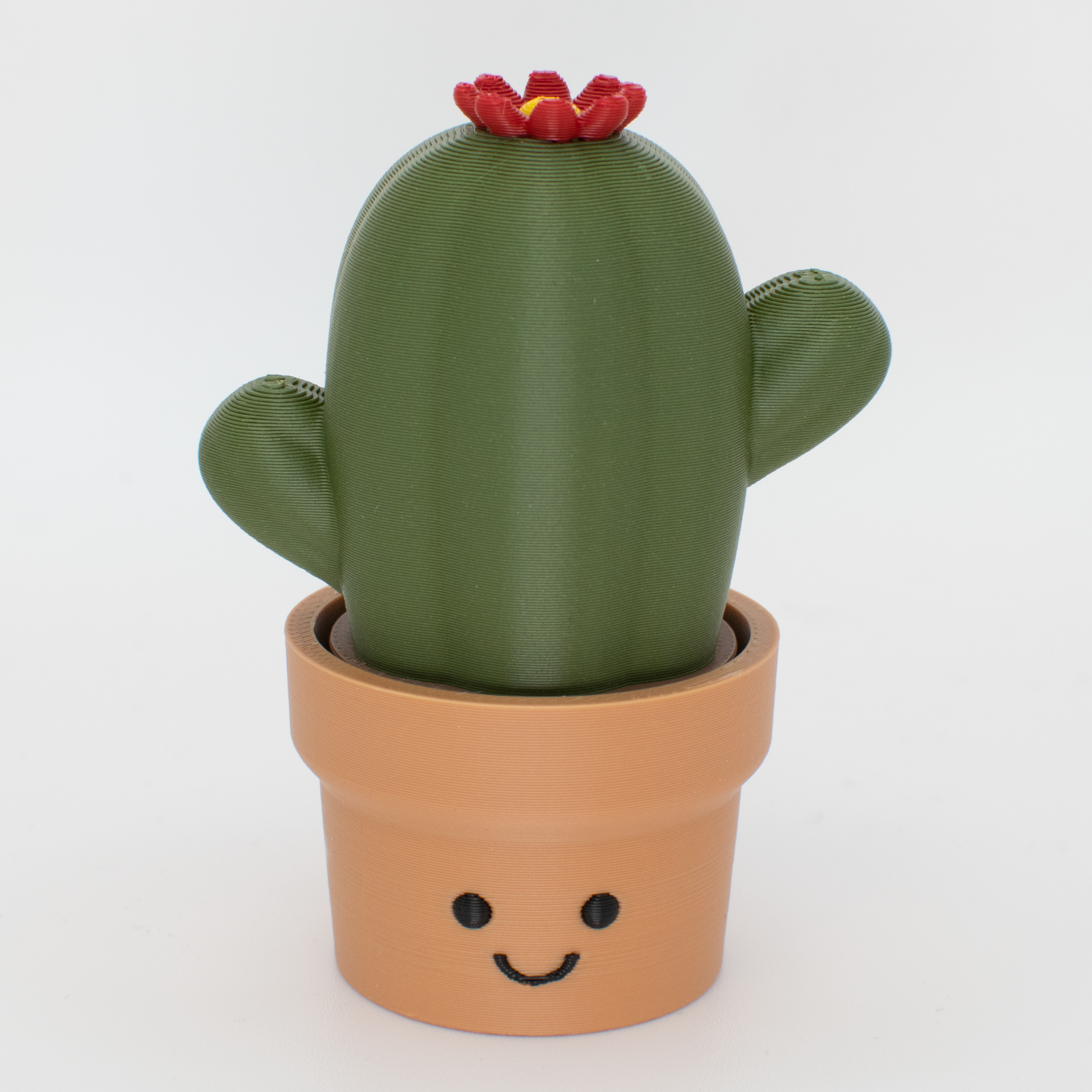 Cute cactus fidget clicker desk buddy with a smiling face