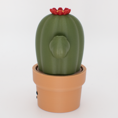 Comfy Clicky Cactus Desk Buddy