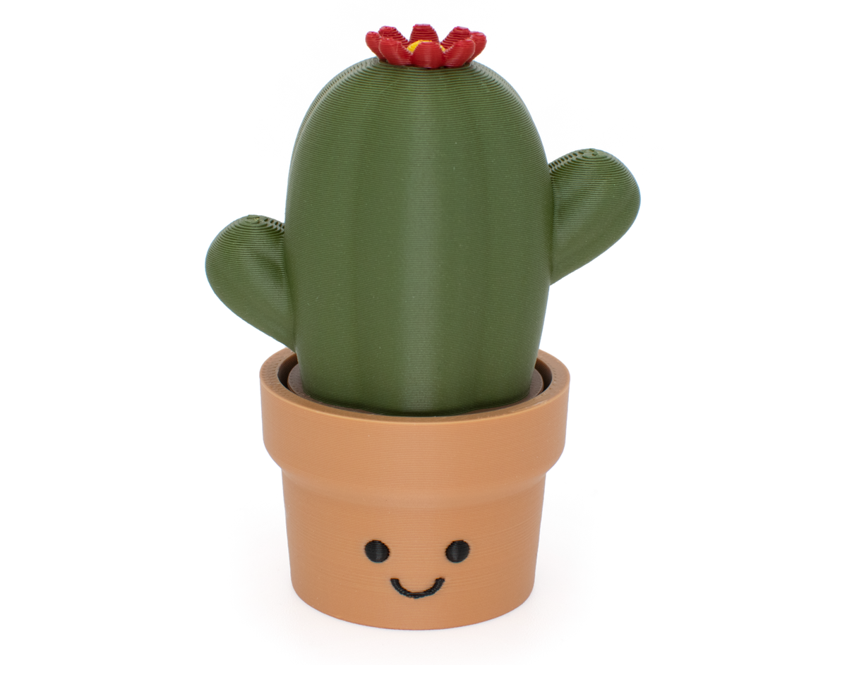 Cute cactus fidget clicker desk decor with a smiling face and clickable top