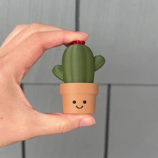 clicking the cute cactus fidget clicker desk decor