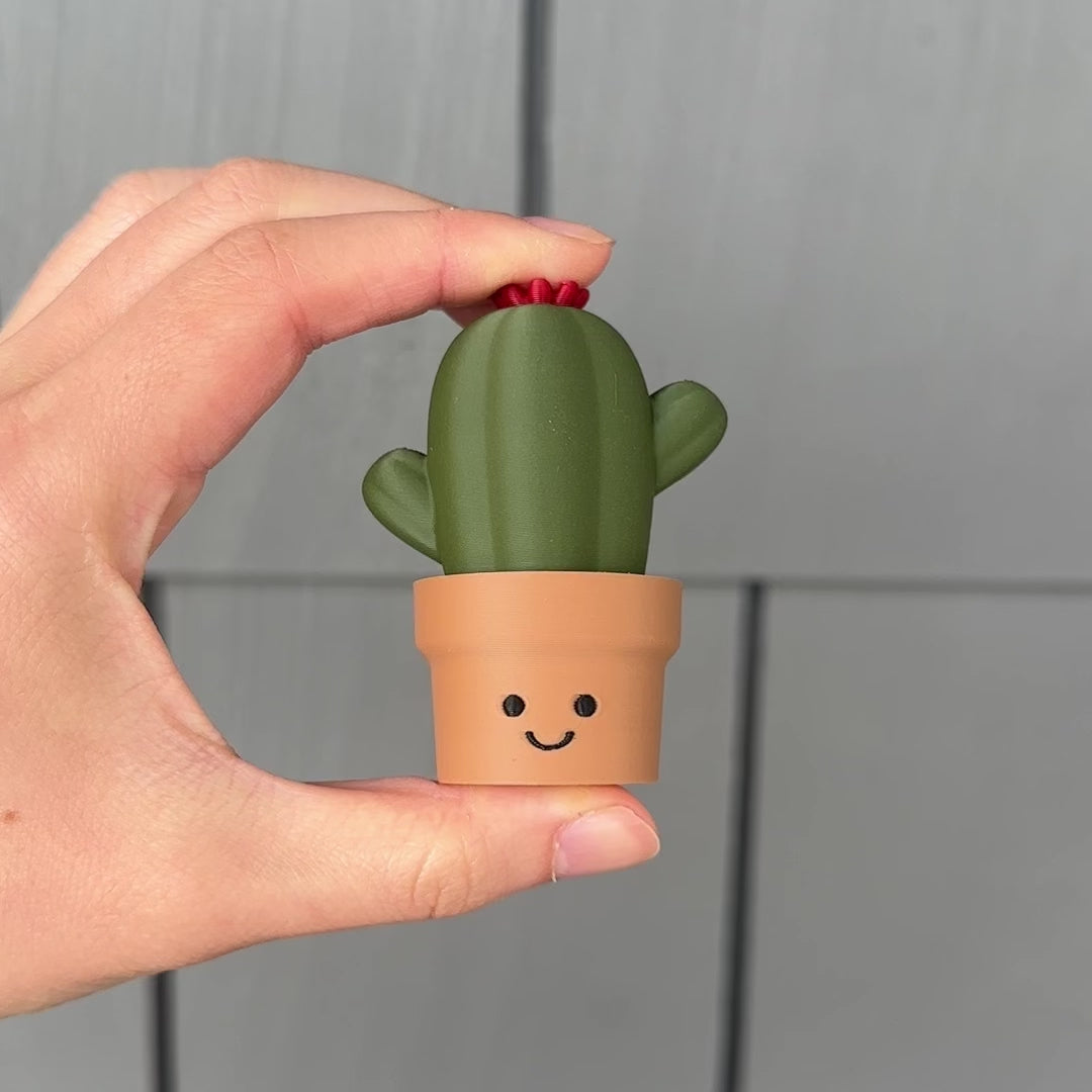 clicking the cute cactus fidget clicker desk decor